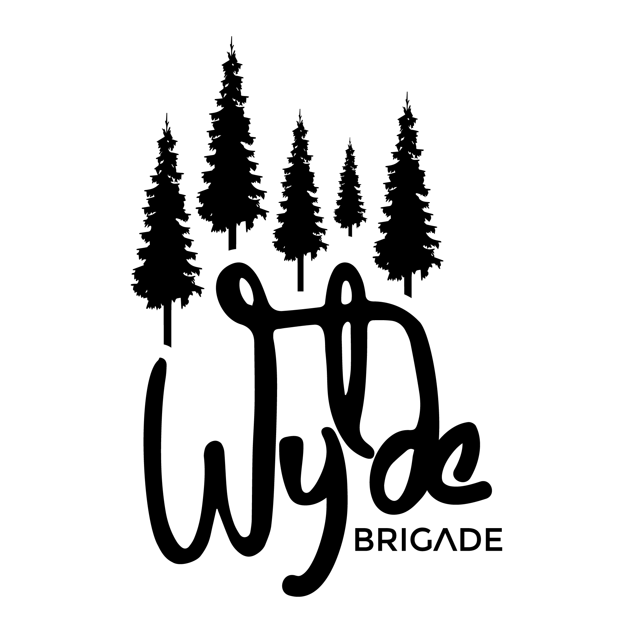 Photograph of Wylde Bridage